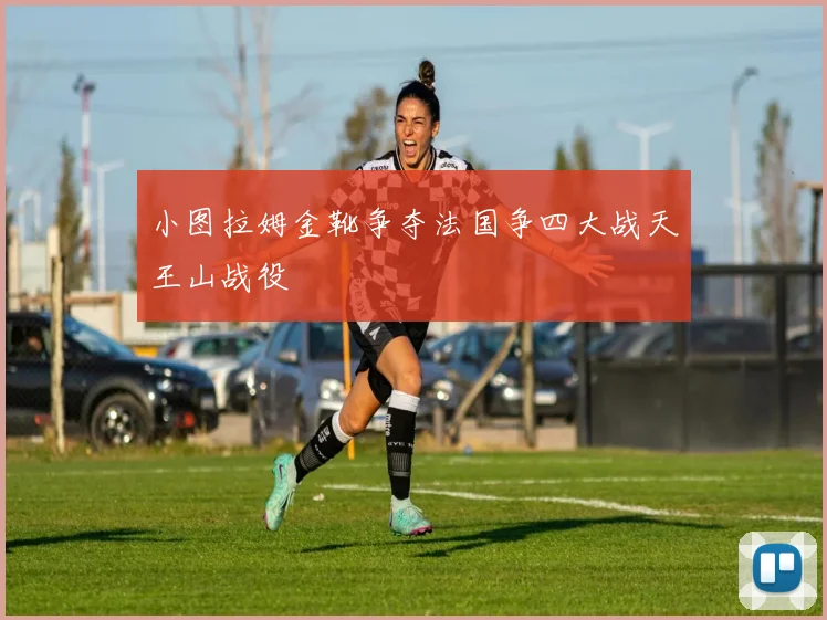 小图拉姆金靴争夺法国争四大战天王山战役