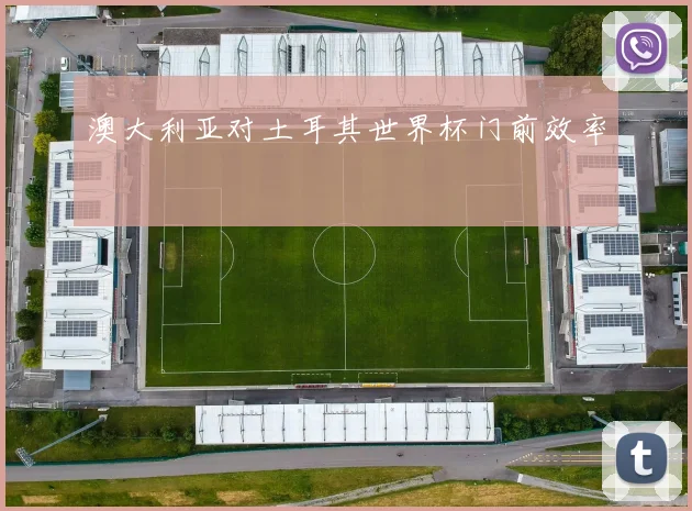 澳大利亚对土耳其世界杯门前效率