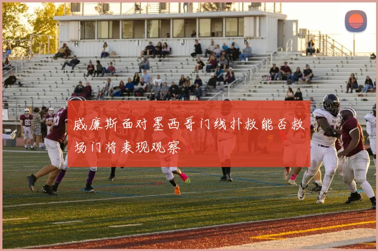 威廉斯面对墨西哥门线扑救能否救场门将表现观察