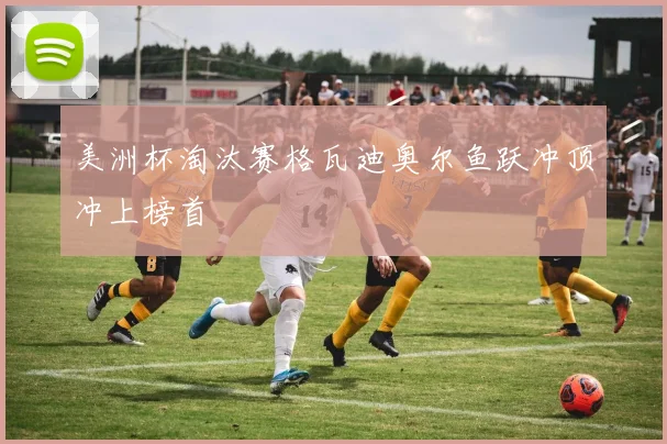 美洲杯淘汰赛格瓦迪奥尔鱼跃冲顶冲上榜首